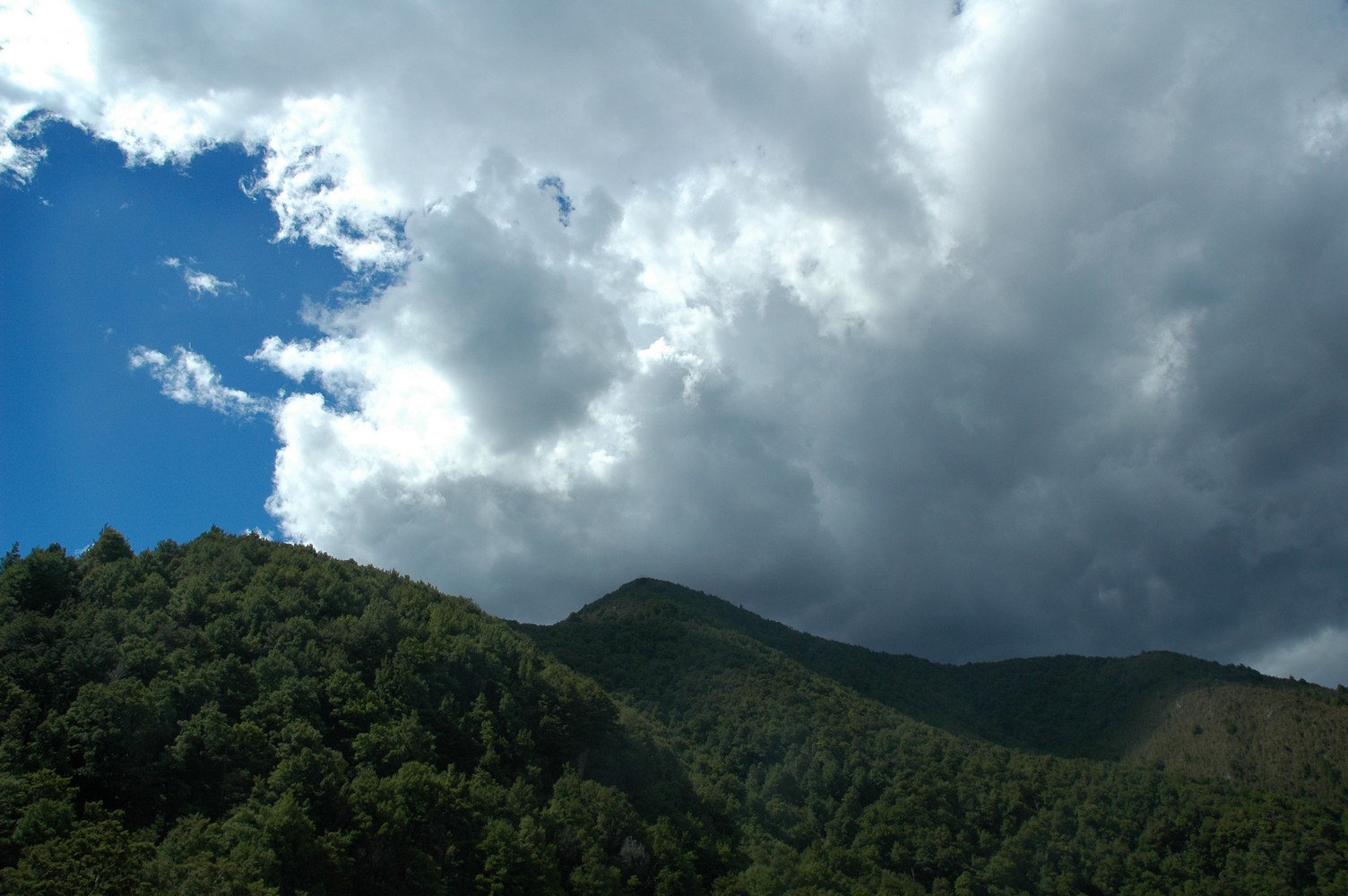 028   23 01   Nelson   Greymouth